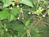 PIC01580.JPG