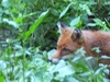 PIC01782.JPG